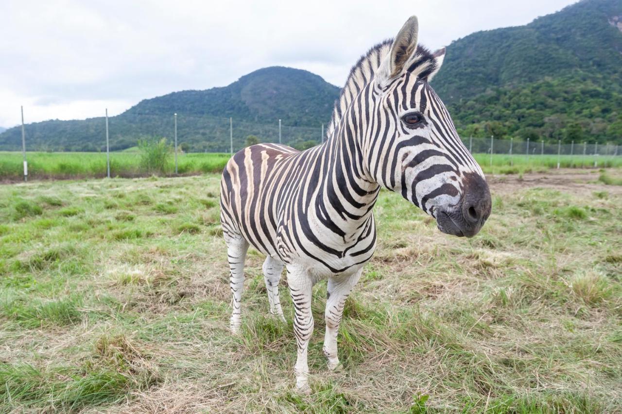 Hotel Portobello Resort & Safari มันการาทีบา ภายนอก รูปภาพ
