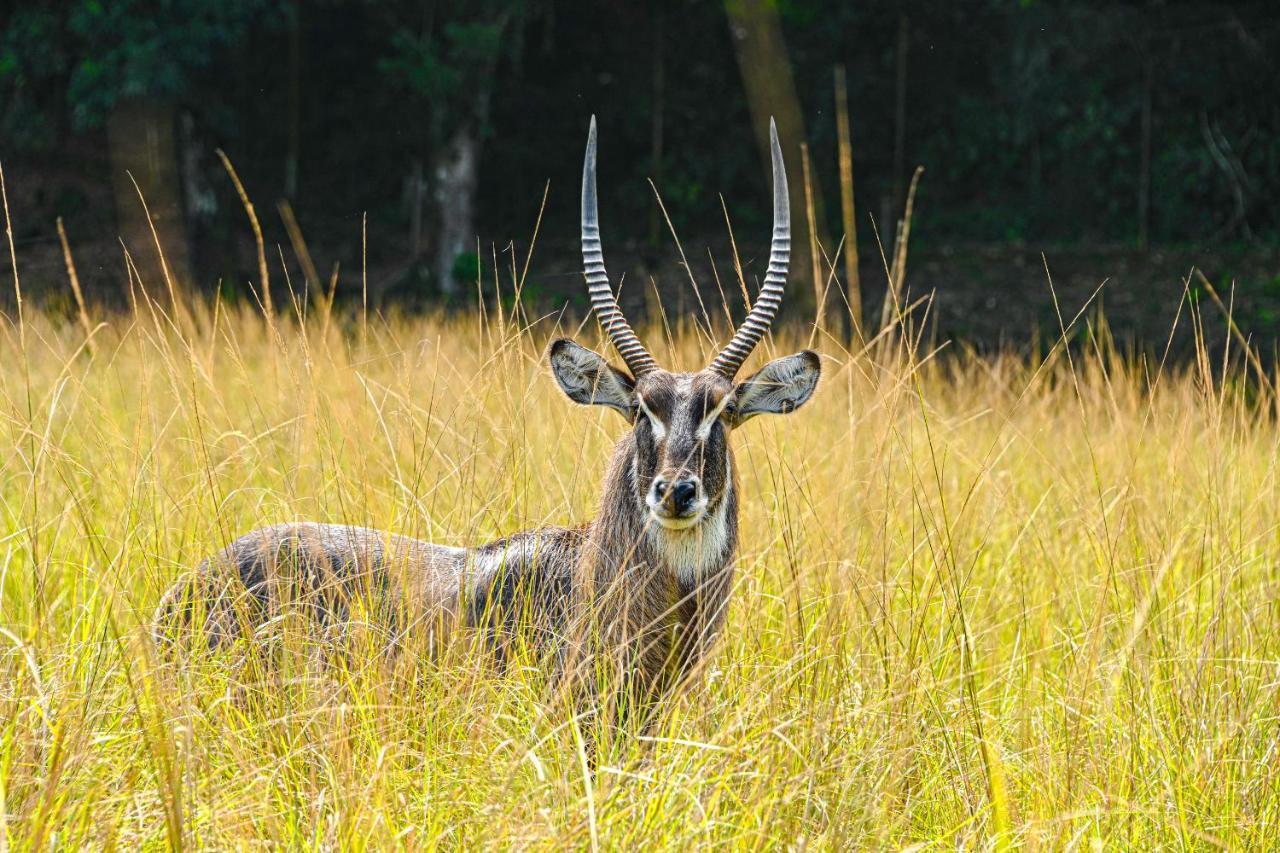Hotel Portobello Resort & Safari มันการาทีบา ภายนอก รูปภาพ