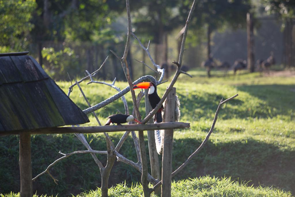 Hotel Portobello Resort & Safari มันการาทีบา ภายนอก รูปภาพ