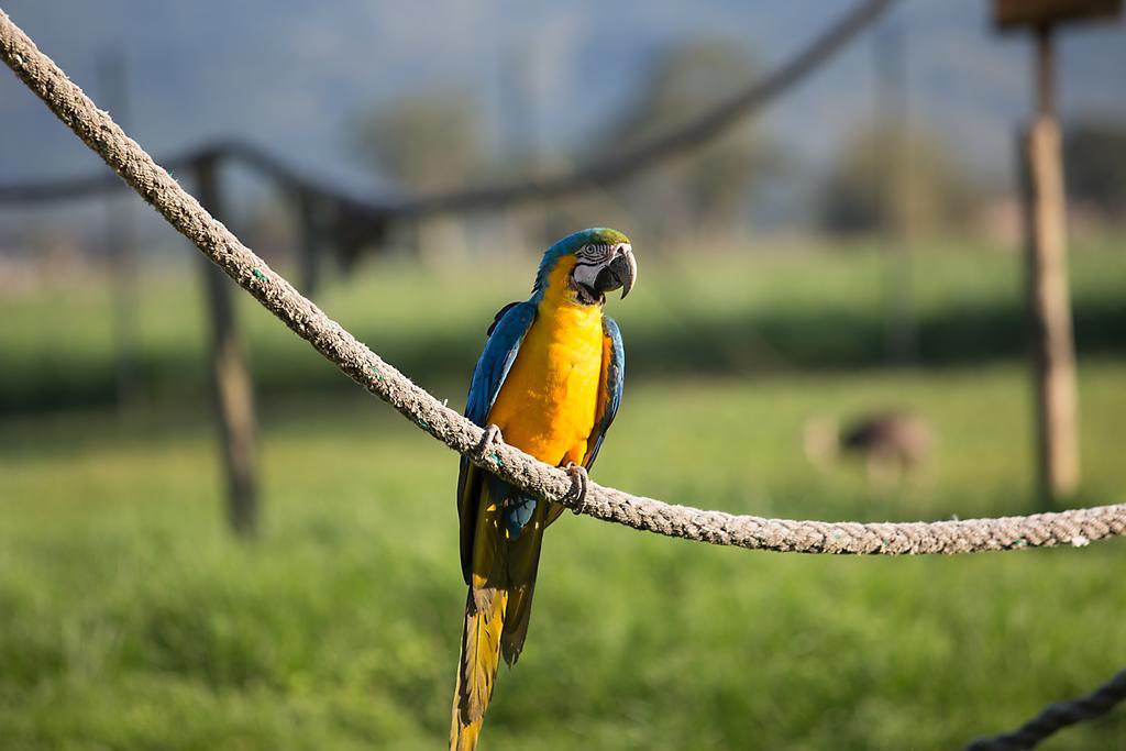 Hotel Portobello Resort & Safari มันการาทีบา ภายนอก รูปภาพ